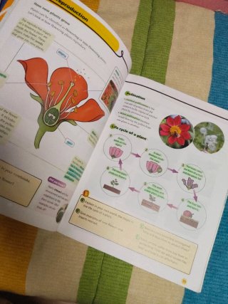 Natural Science :  4 primaria  ByMe