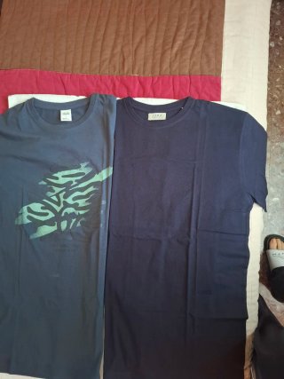 Lote 2 Camisetas Azules
