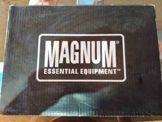 Zapatos Magnum