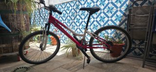 Bicicleta de Montaña Roja y Blanca