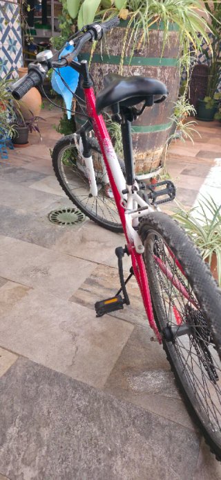 Bicicleta de Montaña Roja y Blanca
