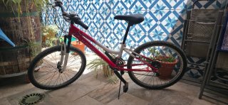 Bicicleta de Montaña Roja y Blanca