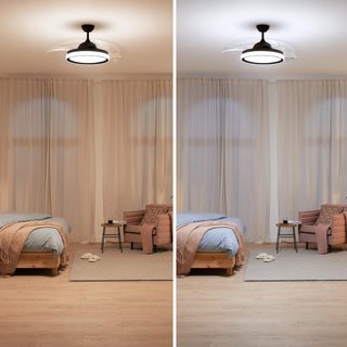 Ventilador Techo LED Philips Negro Transparente
