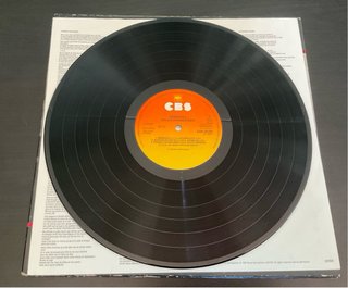 Bruce Springsteen - Nebraska LP Vinilo