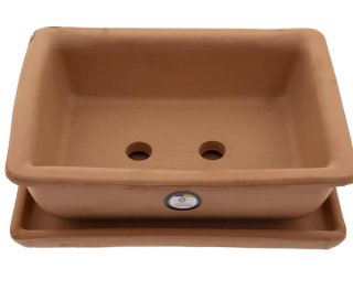 Maceta de terracota para bonsái