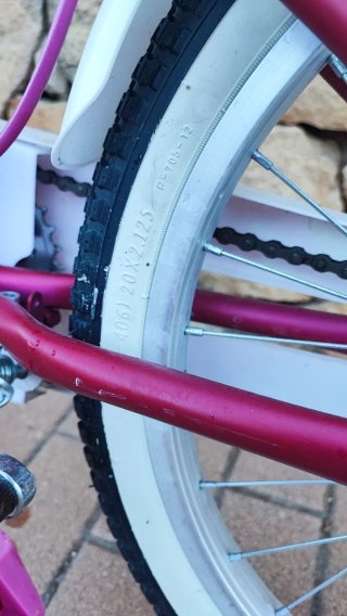 Bicicleta niña B-PRO aro 20