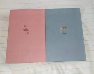 Libros Cumbres borrascosas y Orgullo y prejuicio
