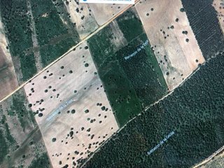 Finca rústica de 122.000 m² en Mayalde (Zamora)