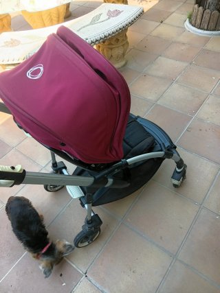 Cochecitos y bicicletas infantiles