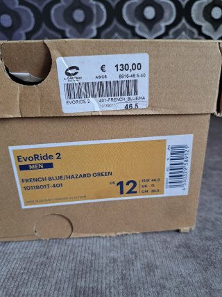 Asics EvoRide 2 Scarpe da Corsa Blu/Verde 46,5