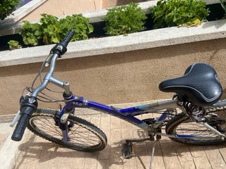 Bicicleta de adulto azul