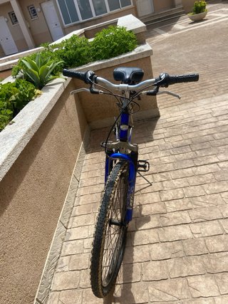 Bicicleta de adulto azul