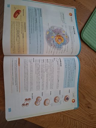 Biología y Geología II, ESO, Secundaria, De otr...