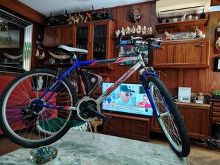 Bicicleta de adulto
