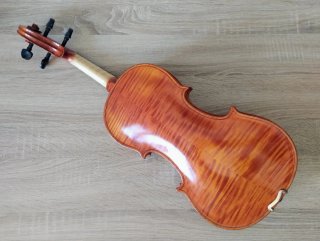 Violino Schiller - Set completo