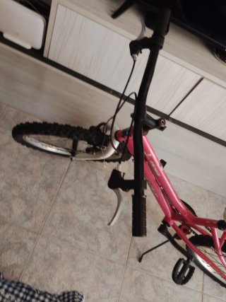 Bicicleta niña JL-WENTI 20x1.90