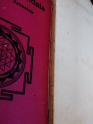 Cortázar la novela Mandala