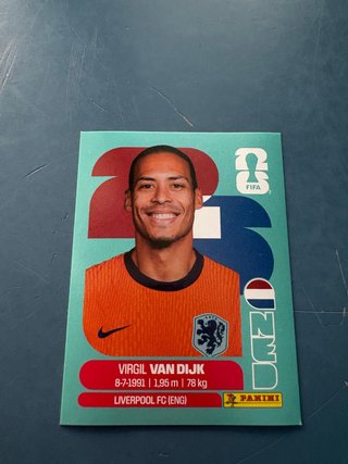 Tarjeta Panini Virgil Van Dijk Holanda