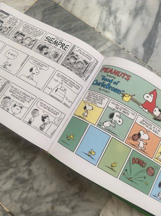 Libro Todo Snoopy Año 1969 Salvat