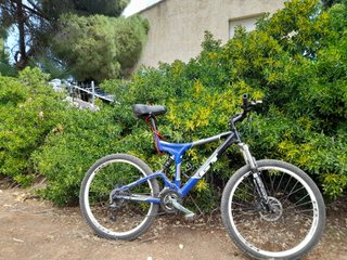 Bicicleta Montaña OCELOT Talla L
