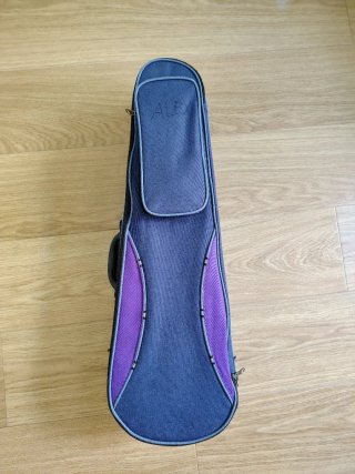 Violín Stentor Estudiante 1/2 con funda