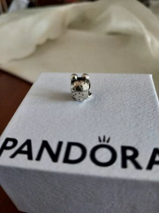 Pandora Charm Tortuga Plata
