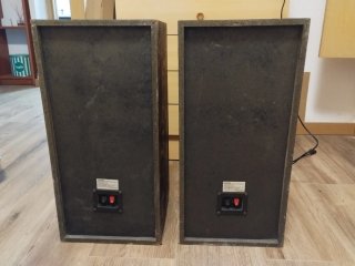 Pareja Altavoces Aiostay 50W Negros