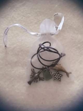 Set collana gioielli aragosta, delfino e stella