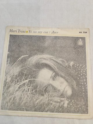 Lote 19 singles vinilos 70s 80s pop disco