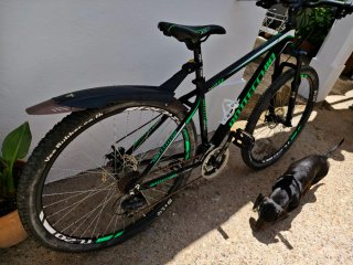 Bicicleta de Montaña Bottecchia