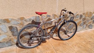 Bicicleta MTB Sunn Vertik 2 Años 90
