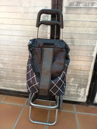 Carrito de compra pequeño por 5€