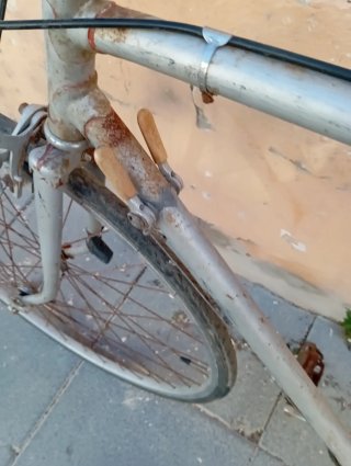 Bicicleta Paseo/Carretera Plata