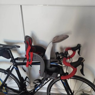 Silla Bebé Bici Delantera WeeRide