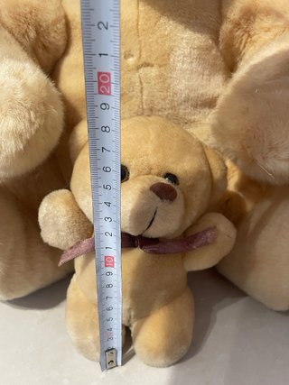Peluche Oso Grande y Pequeño