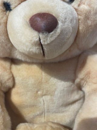 Peluche Oso Grande y Pequeño