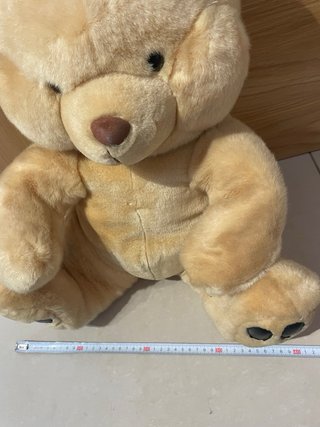 Peluche Oso Grande y Pequeño