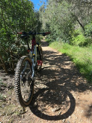 E-bike Megamo Flame Talla M Aluminio