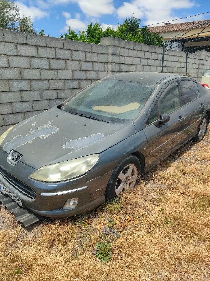 Peugeot 407 2004 - foto 1