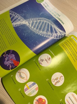 Biologia, 2 Batxillerat, Projecte Construint mons