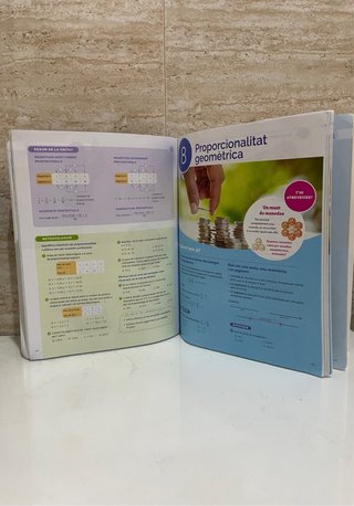 Libro Matemàtiques 2 ESO, Projecte Construint mons