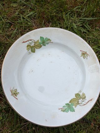 Platos de porcelana con borde dorado