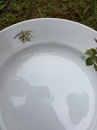 Platos de porcelana con borde dorado