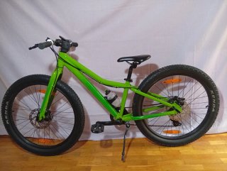 Bicicleta Scott Scale.