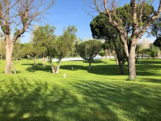 Acción individual Club El Tejar de Somontes