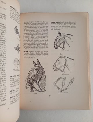 Libro antiguo Vocabulario y refranero Criollo 1945