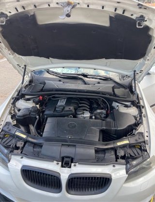 BMW Serie 3 2009
