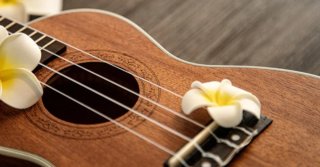 Ukelele Cahaya