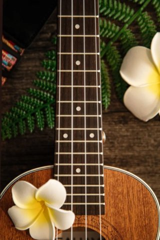 Ukelele Cahaya