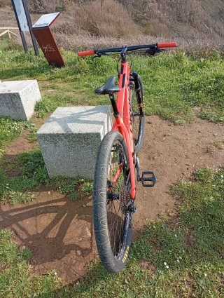 Orbea Alma M25 Carbono